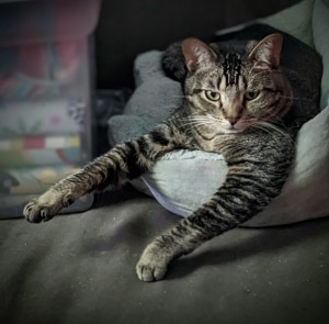 Photo of Biggie