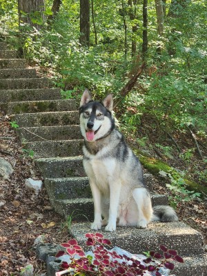 Photo of Kuiper