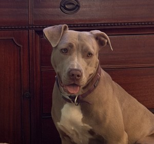 Photo of Quinny