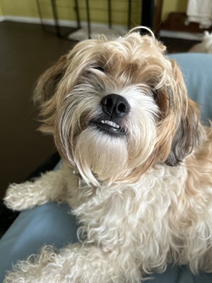 Photo of Woodrow