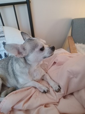 Photo of Emma