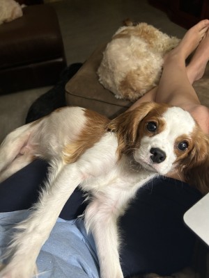 Photo of Oliver