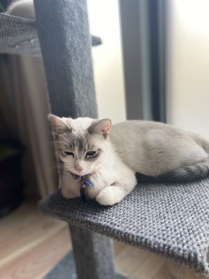 Photo of Freya