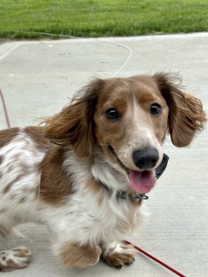 Photo of Charlie