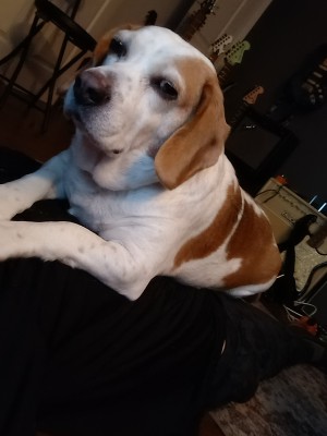 Photo of Kronk