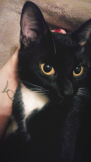 Photo of Lola