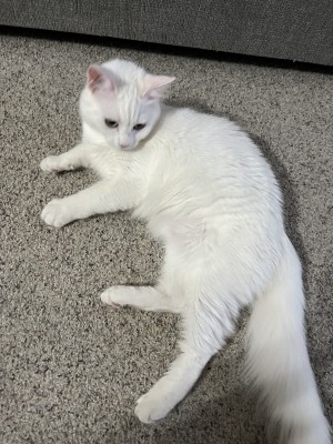 Photo of Minnie