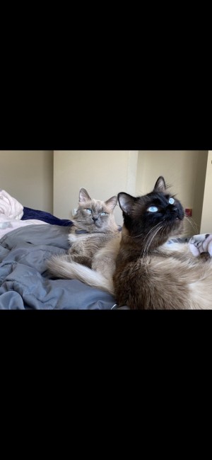 Photo of Simon & Sebastian