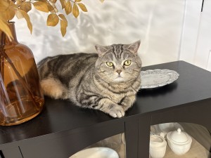 Photo of Sophie