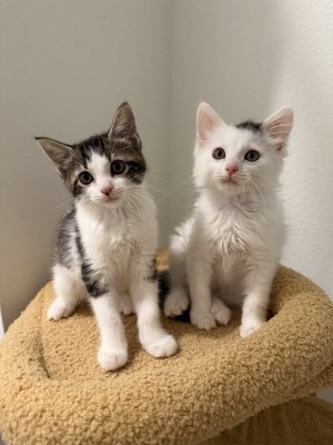 Photo of Squirt & Queen