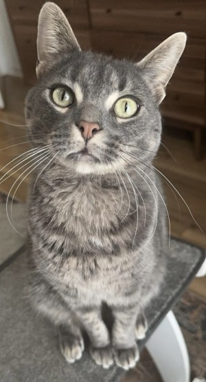 Photo of Sebastian