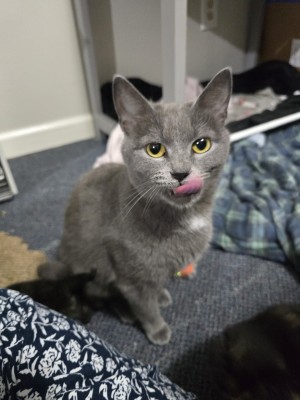 Photo of Genie