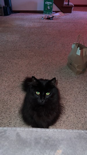 Photo of Charlie