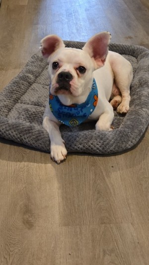 Photo of Jax