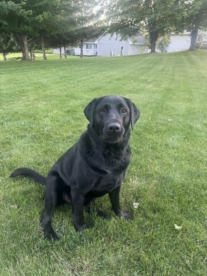 Photo of Remi