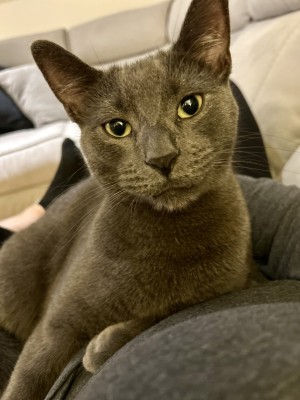 Photo of Lance