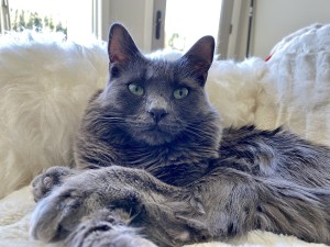 Photo of Soul&egrave;