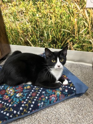 Photo of Tilly