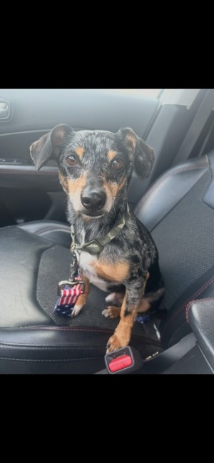 Photo of Tucker