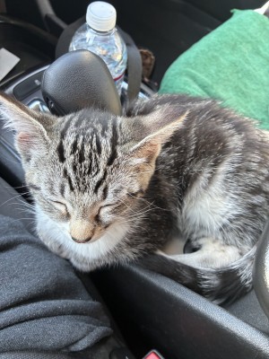 Photo of Reign