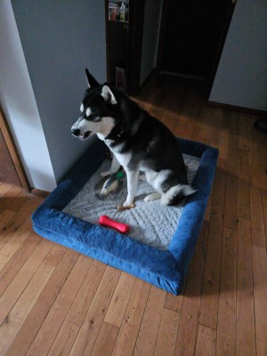 Photo of Eli