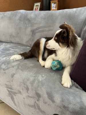 Photo of Princess