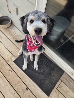 Photo of Max