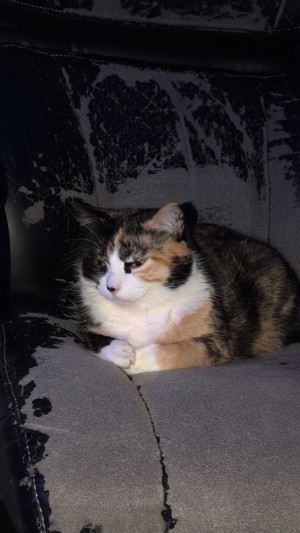 Photo of Holly