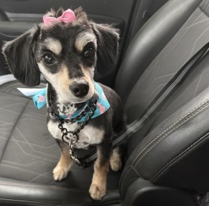 Photo of Emeri