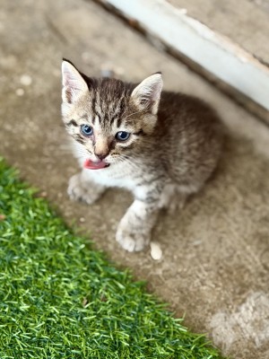 Photo of Stormy