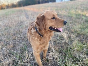 Photo of Benny