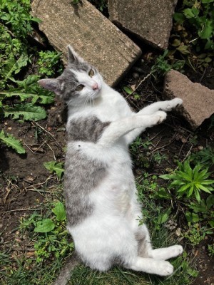 Photo of Nancy