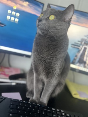 Photo of Smushy