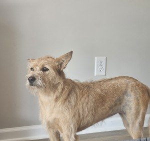 Photo of Maggie