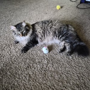 Photo of Titan