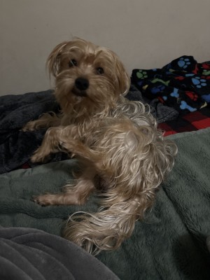 Photo of Gucci