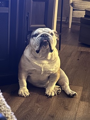 Photo of Kirby