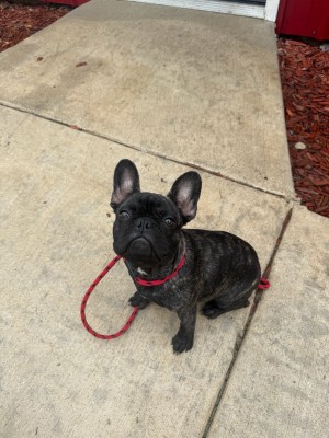 Photo of Charlie