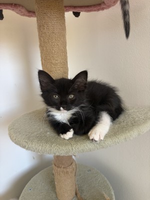 Photo of Leela