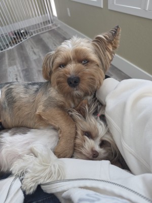 Photo of Marley