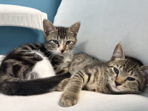 Photo of Kelvin And Keefe