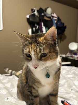 Photo of Willow