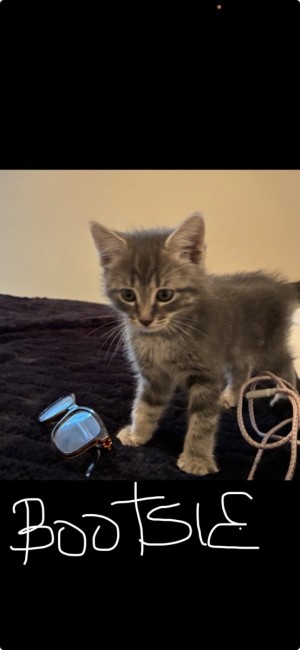 Photo of Bootsie