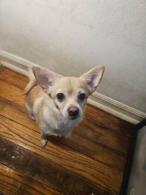 Photo of Gia