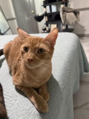 Photo of Tommy