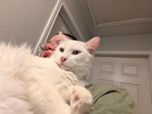 Photo of Sterling