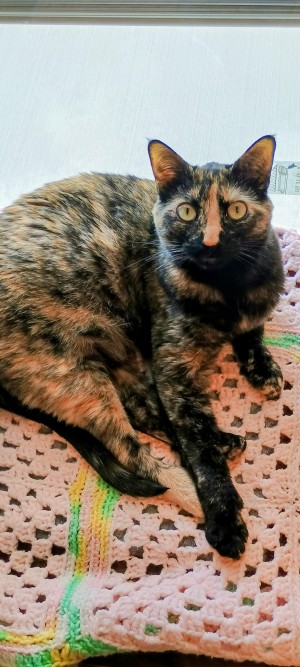 Photo of Jinxie