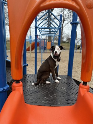Photo of Lexi