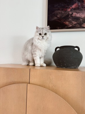 Photo of Emilia