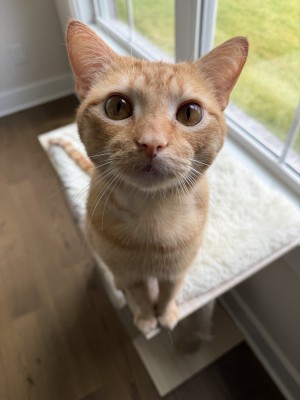 Photo of Ron